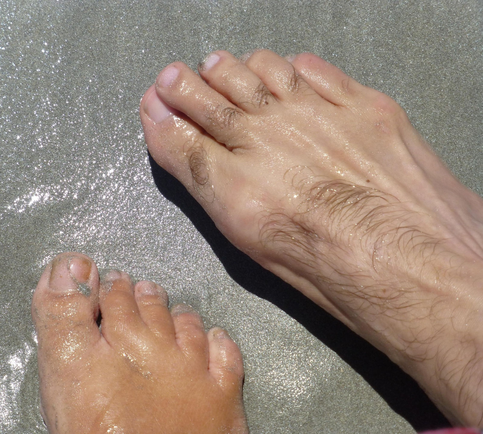 Fussdiagnose SEMINAR