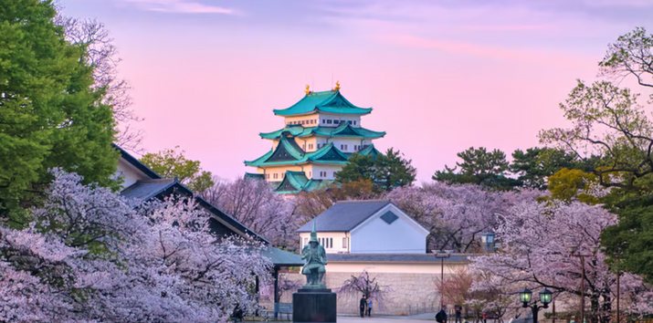 Tokyo and Nagoya: a tale of two cities - NAGOYA CASTLE