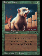 Restless Ferret
