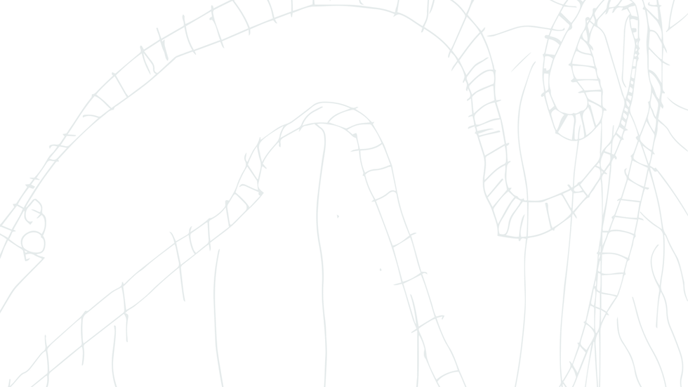 TCC_rollercoaster_stone_20pc.png