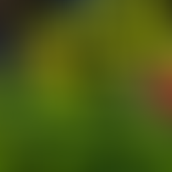 Hacienda dice que "inflación proviene del exterior no de gasto público"