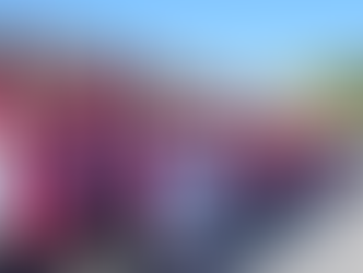 En promedio, INE da $12,000 a asistentes y capacitadores