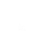 5_edited.png