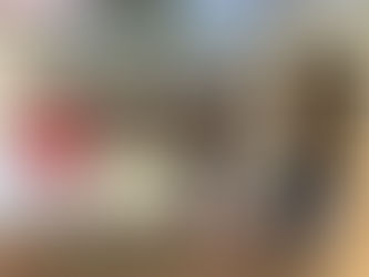 アメリカサマーキャンプ1日目