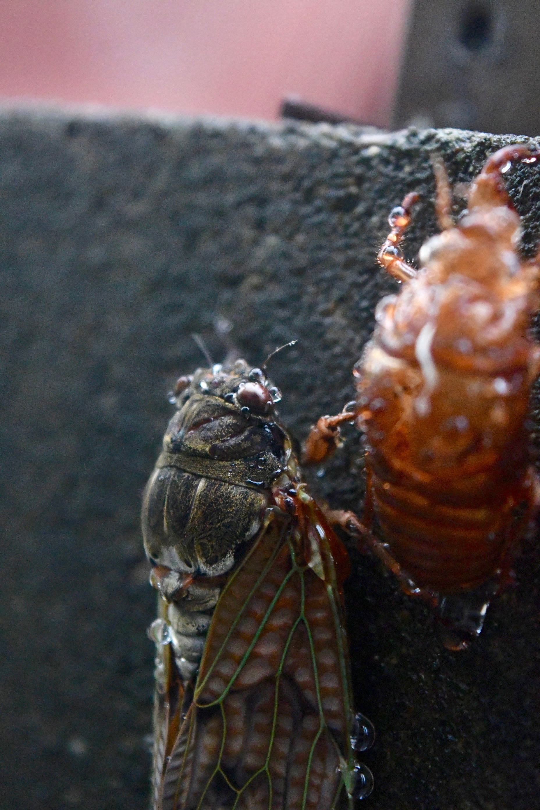Let's go on a Bug Hunt!