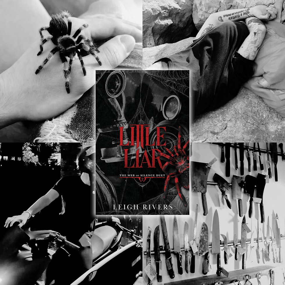 Review of “Little Liar” by Leigh Rivers