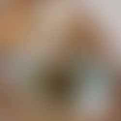 PLANT-BASED CREAMY MUSHROOM SOUP