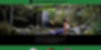 mindset-2-wellness-website.jpg