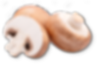 Champignon