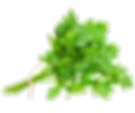 Parsley