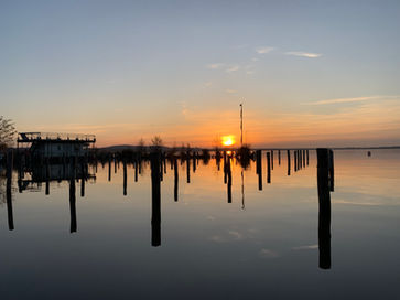 IMG_5637.jpeg