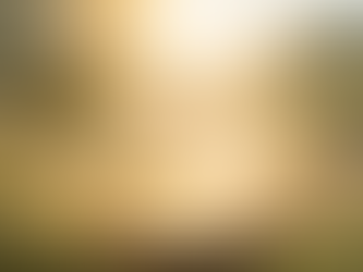 整えるって、やさしくていいと思うんです