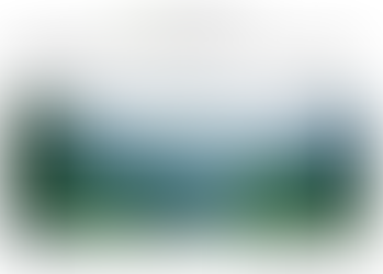 Mongabay: ICAO and forest offsets