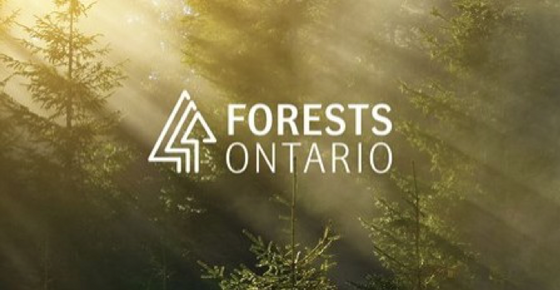 The Forest Carbon and Climate Program to sponsor and present at Forests Ontario