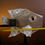 Thumbnail: RiverFish #4