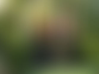 Secrets Aura in Cozumel | Hotel Review