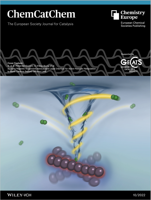 Our work is highlighted in ChemCatChem's Cover Feature. Certainly a significant research milestone as a young research group. Many thanks to the artist,…