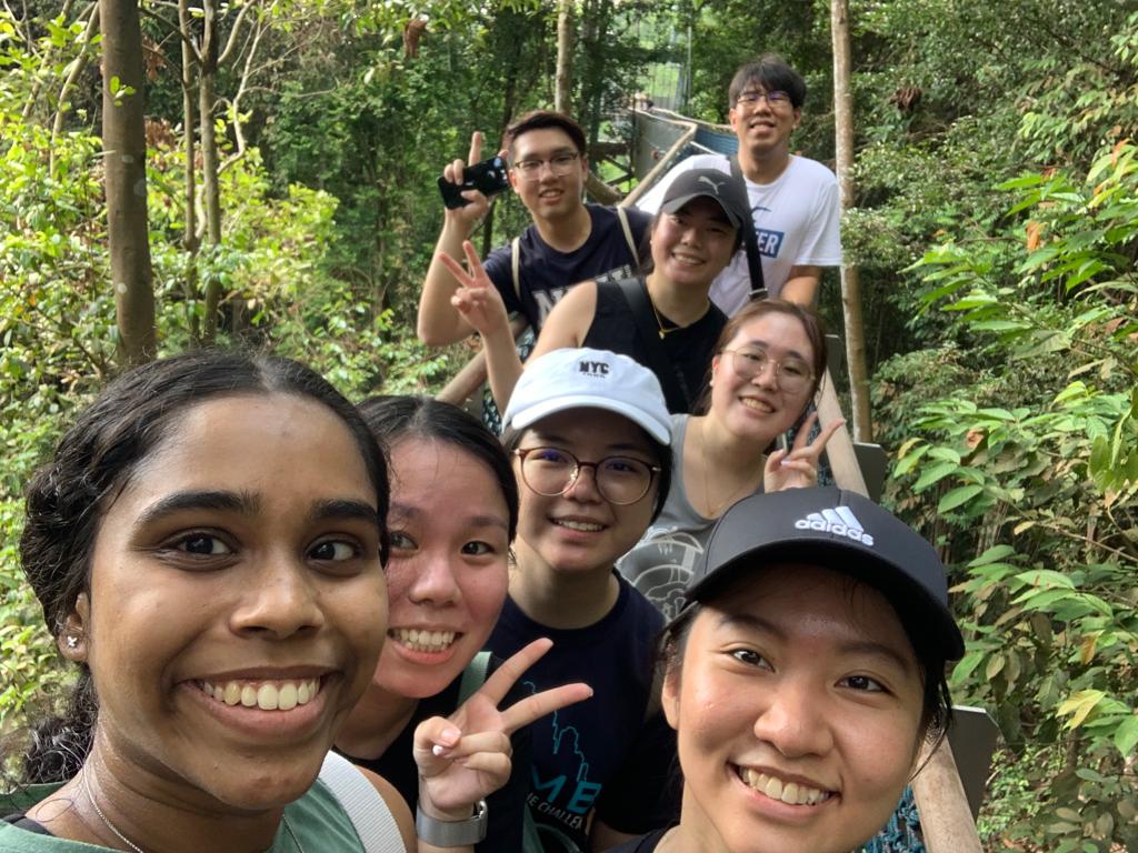 Life is more than work. Work hard, play hard. Productive year with lots of team bonding activities. The hike from Macritchie reservoir to Bukit Timah Hill…