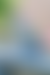 black silver classic tabby maine coon kitten outside