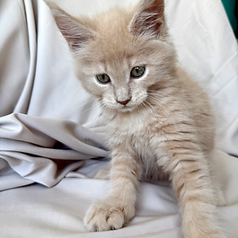 PARENTS: Rune and Thor