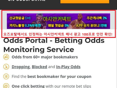 오즈포탈에서 배너광고 올려주는 사이트