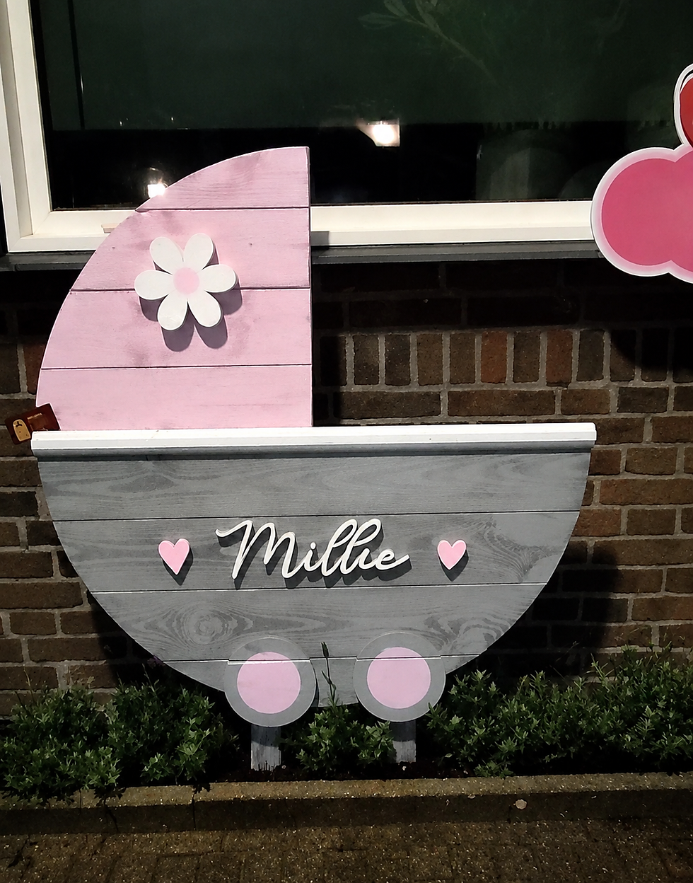 Geboorte bord kinderwagen met bloempje