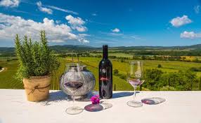 Tasting in the cellar and relaxation in the villa.