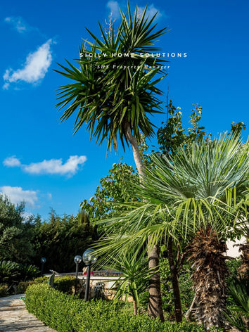 Villa con palme, sentiero e cielo sereno