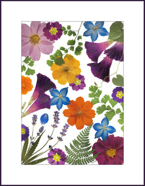 From Boredom Blooms Creativity: Look What's New!