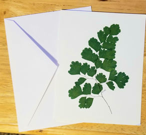 Flowers for Winter Pressing
