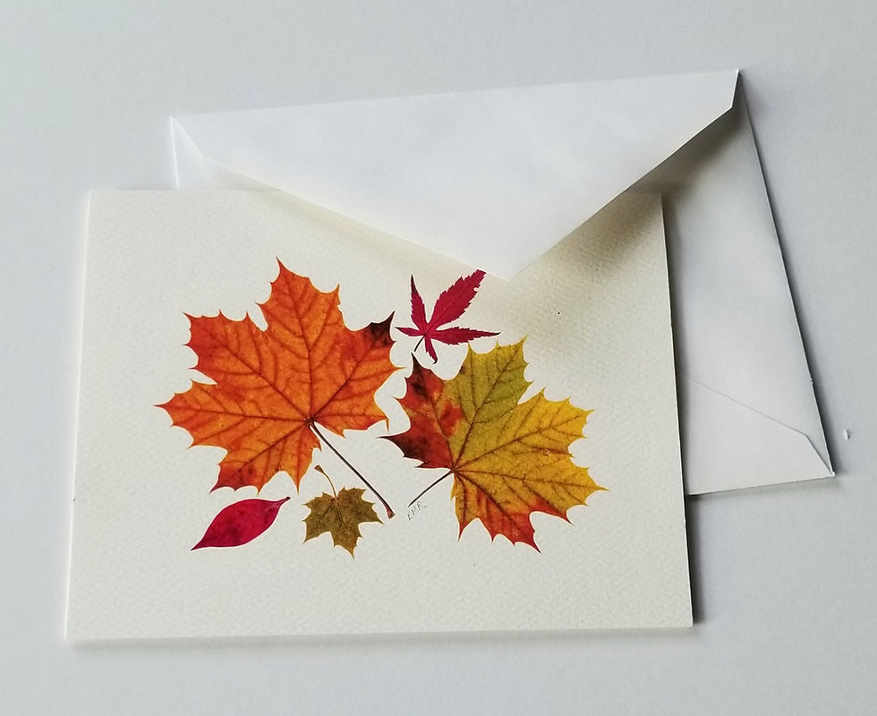 pressed fall leaves by Ellie Roden
