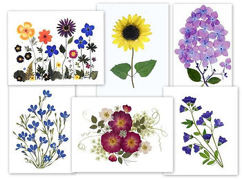 Pressed flower cards from Vermont Pressed Flowers