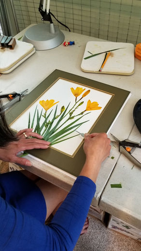 Mastering the Art of Flower Pressing