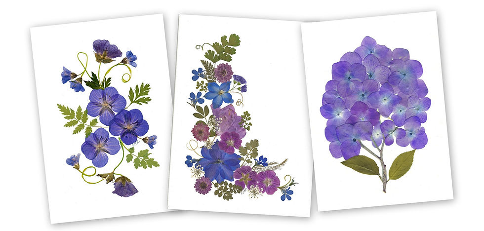 pressed flower notecards by Ellie Roden