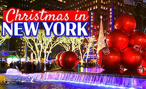 Screen Shot 2025-02-24 at 2.52.48 PM.png