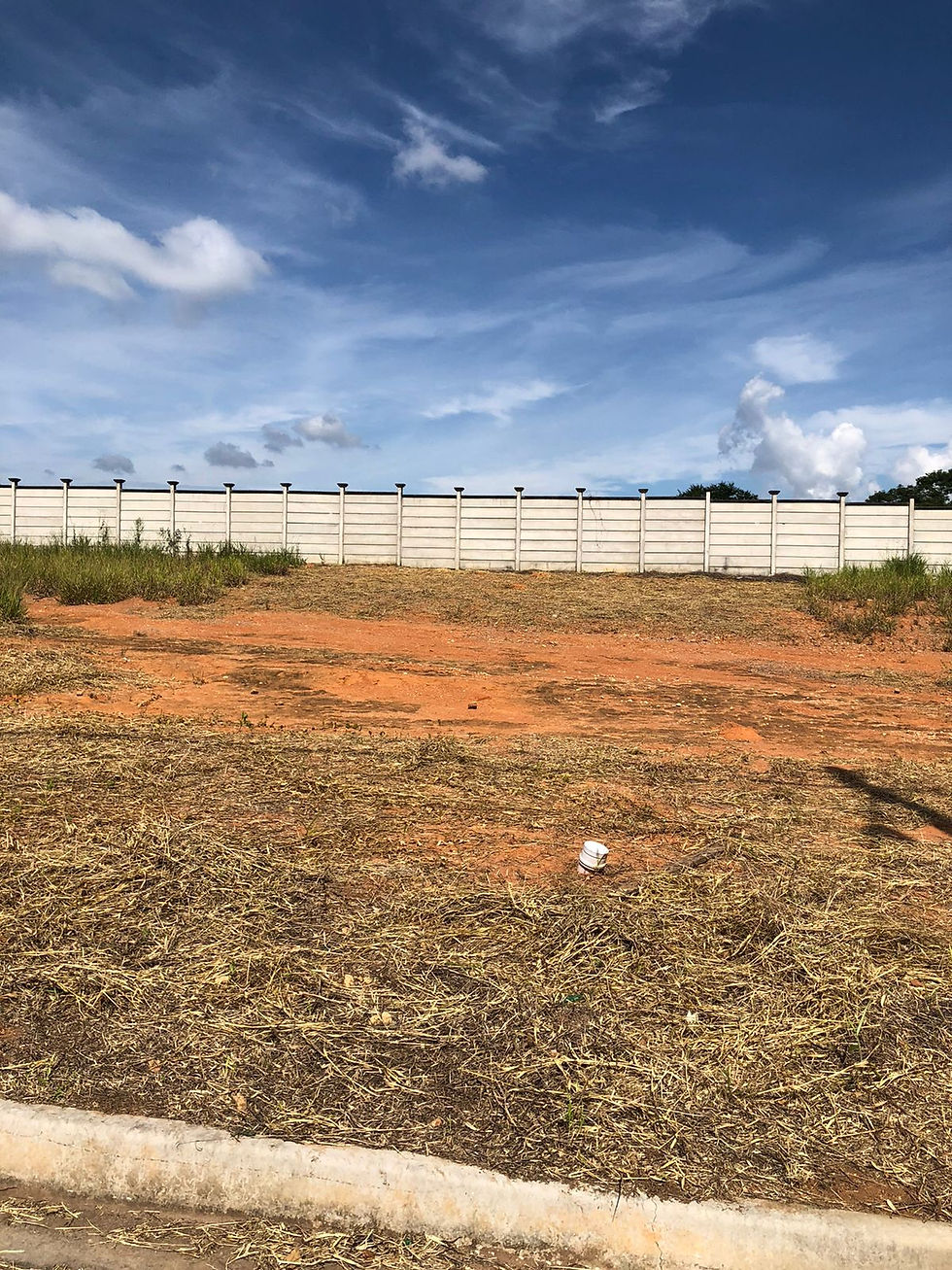 Miniatura: Terrenos horto dos ipês