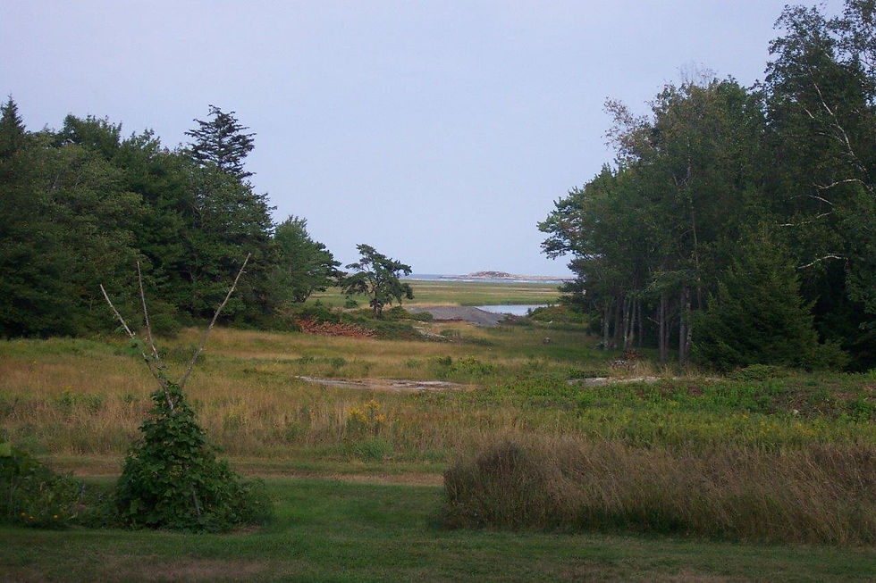 Farmhouse (6)