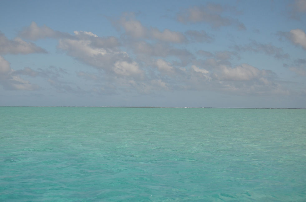 THP_4174.JPG