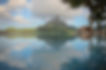 THP_4312 copy.jpg