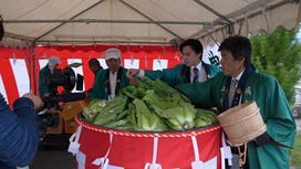 広島菜キムチの旬がやってきました