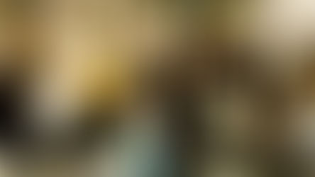 ゴライ日記★中国ニュービジネス協議会(中国NBC)広島 女性部会