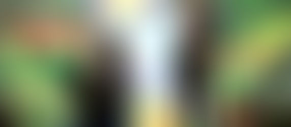 San Francisco Opera Performance: 4th Grade