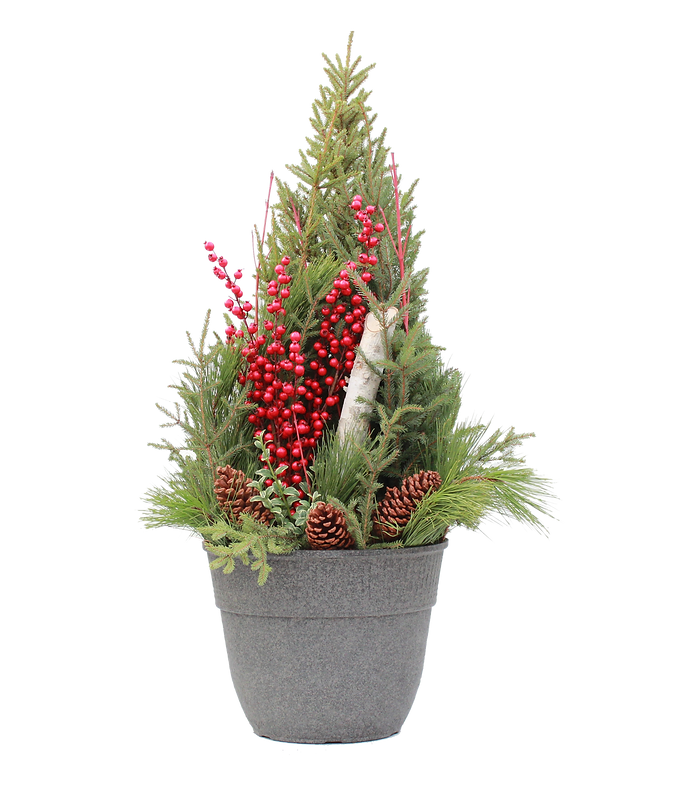 Spruce tip pot, evergreen container, red berry pick