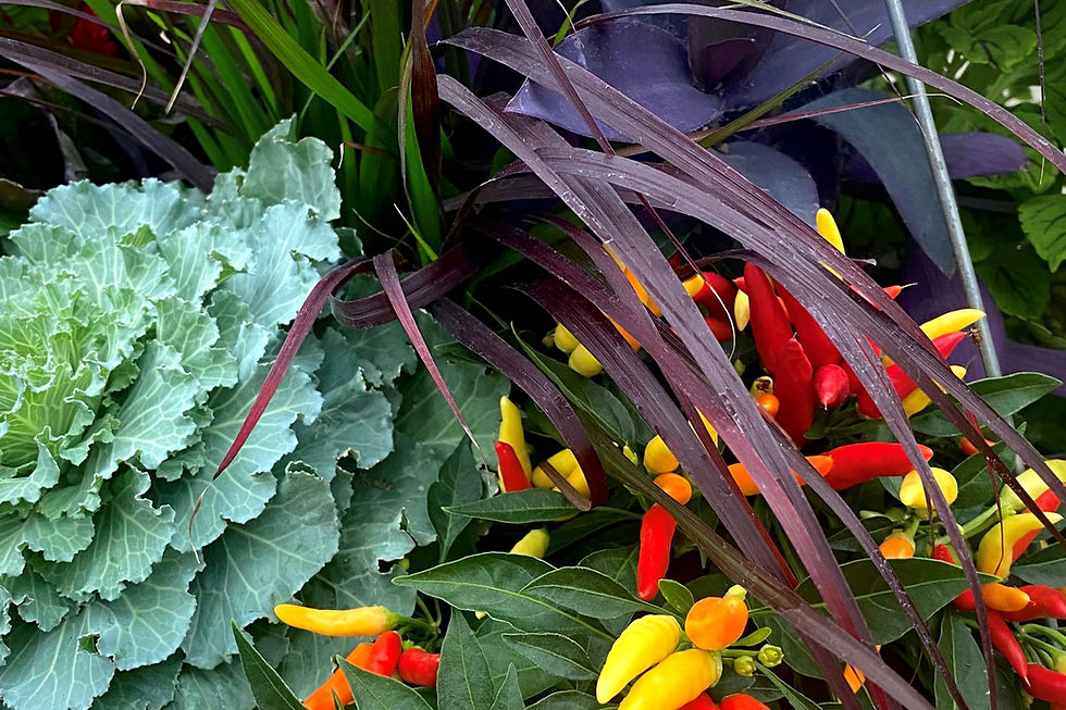 Fall Planter Workshop