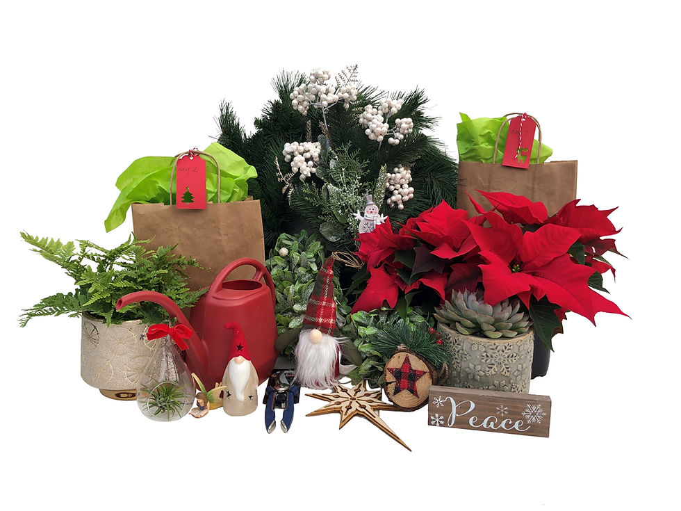 12 Days of Christmas-Mystery Box