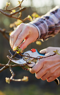 Untitled (2) copy 3.png