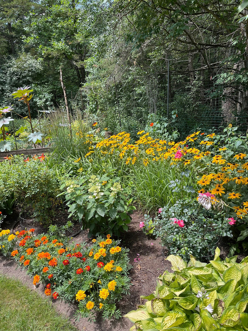 Summer Garden Tour-#1 
