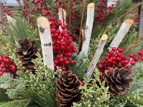 How to Care for your Spruce Tip Pot