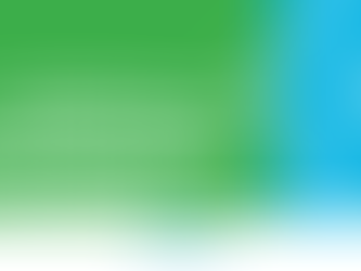 A $32,580 Knee or an $18,860 Knee—Which One Would You Choose?