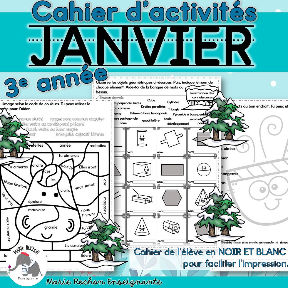 Miniature : Cahier d'activités imprimable janvier – 3e année / CE2 / P3